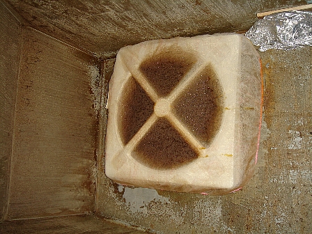 F{sŃ[GARN[jO1020